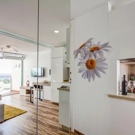 Marlin I Πουέρτο Ντελ Κάρμεν